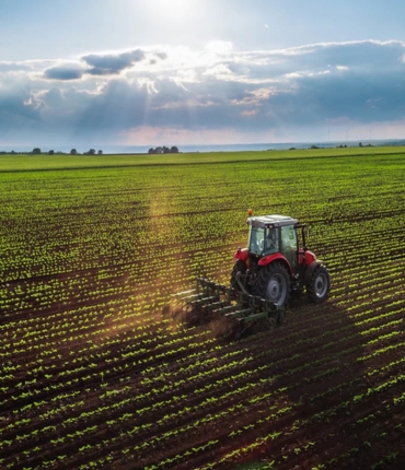 agriculture